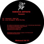 RBLTD31